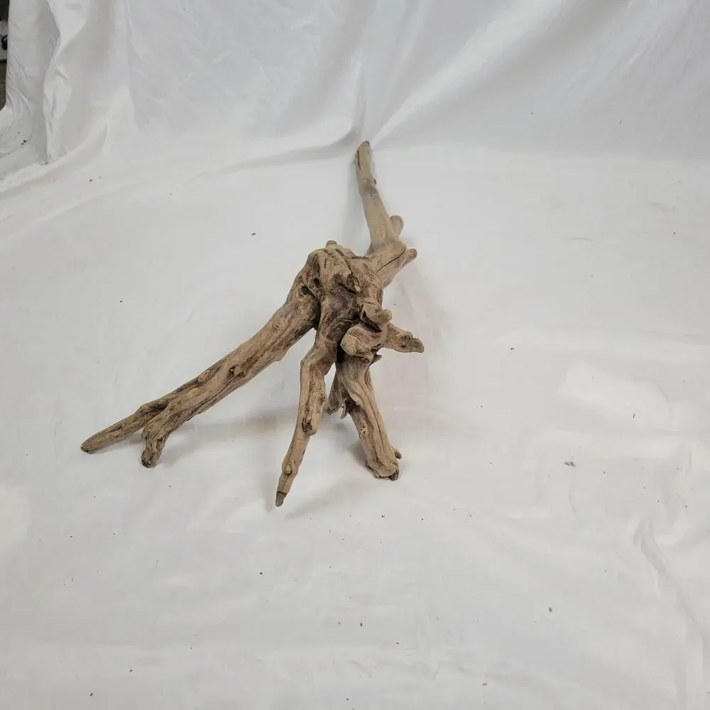 Ohio River Driftwood 42